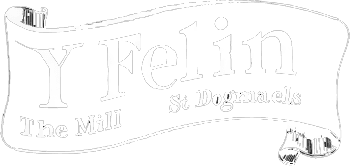 y_felin_logo_white